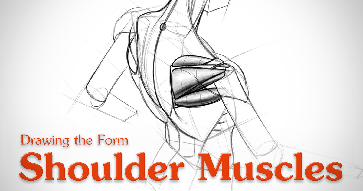 1200x630 How To Draw Shoulder Muscles