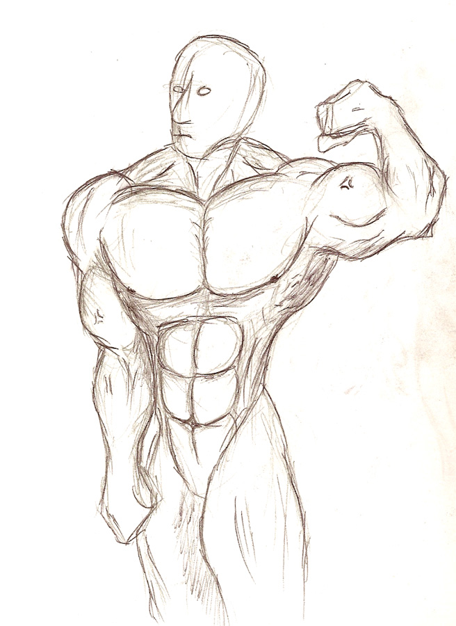 656x900 Muscular Body Sketch Noref By Sixarmedwerewolf