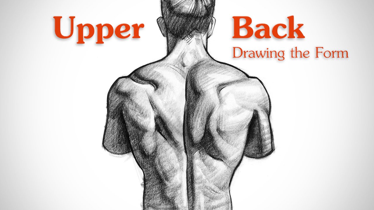 1280x720 How To Draw Upper Back Muscles