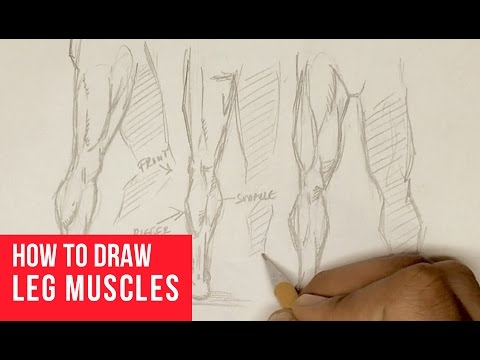 480x360 How To Draw Leg Muscles