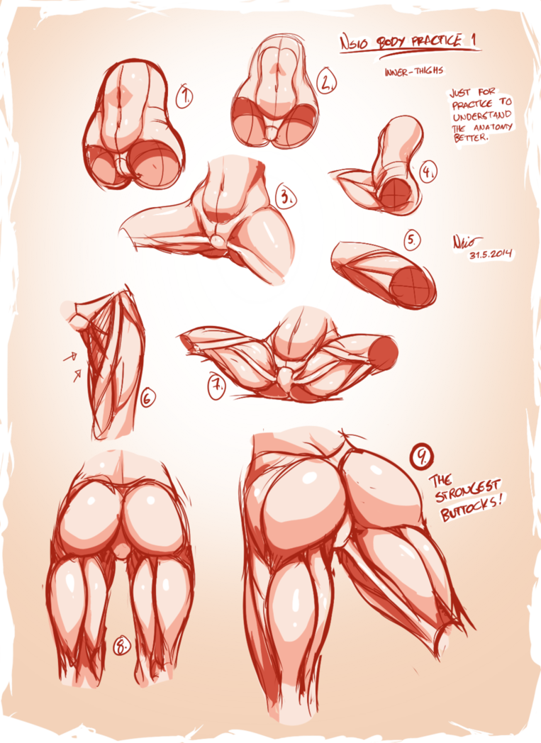 763x1048 Nsio Body Practice1 Muscles Of The Inner Thigh By Nsio