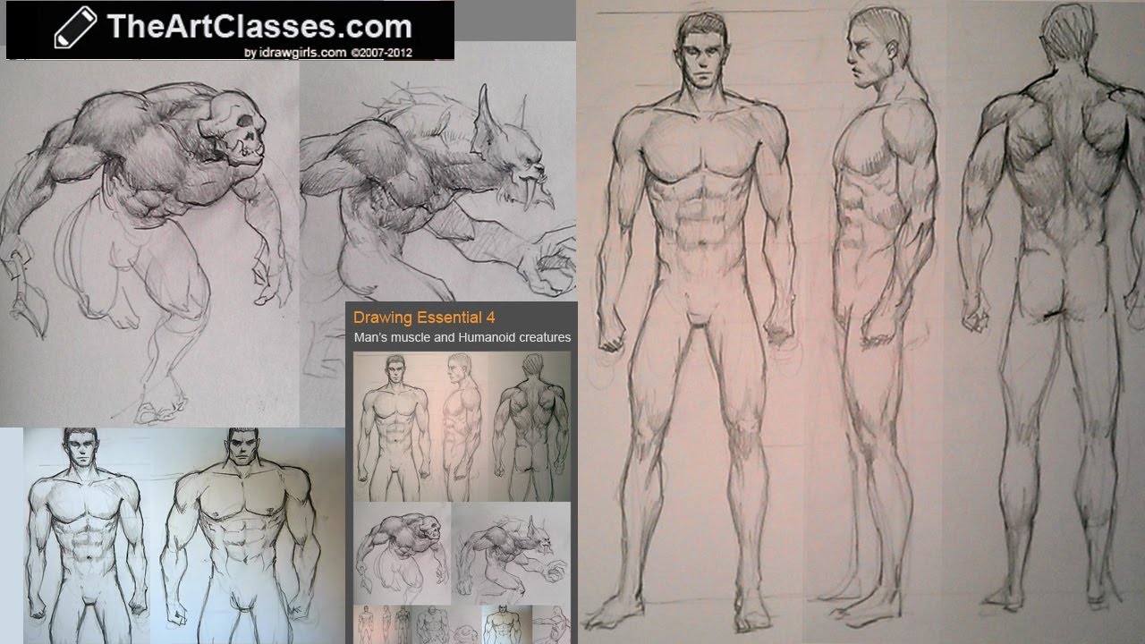 1280x720 Drawing Men's Muscles And Humanoids' Muscle Structure Demo