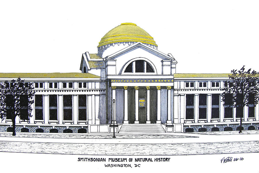 900x604 Smithsonian Museum Of Natural History Drawing By Frederic Kohli