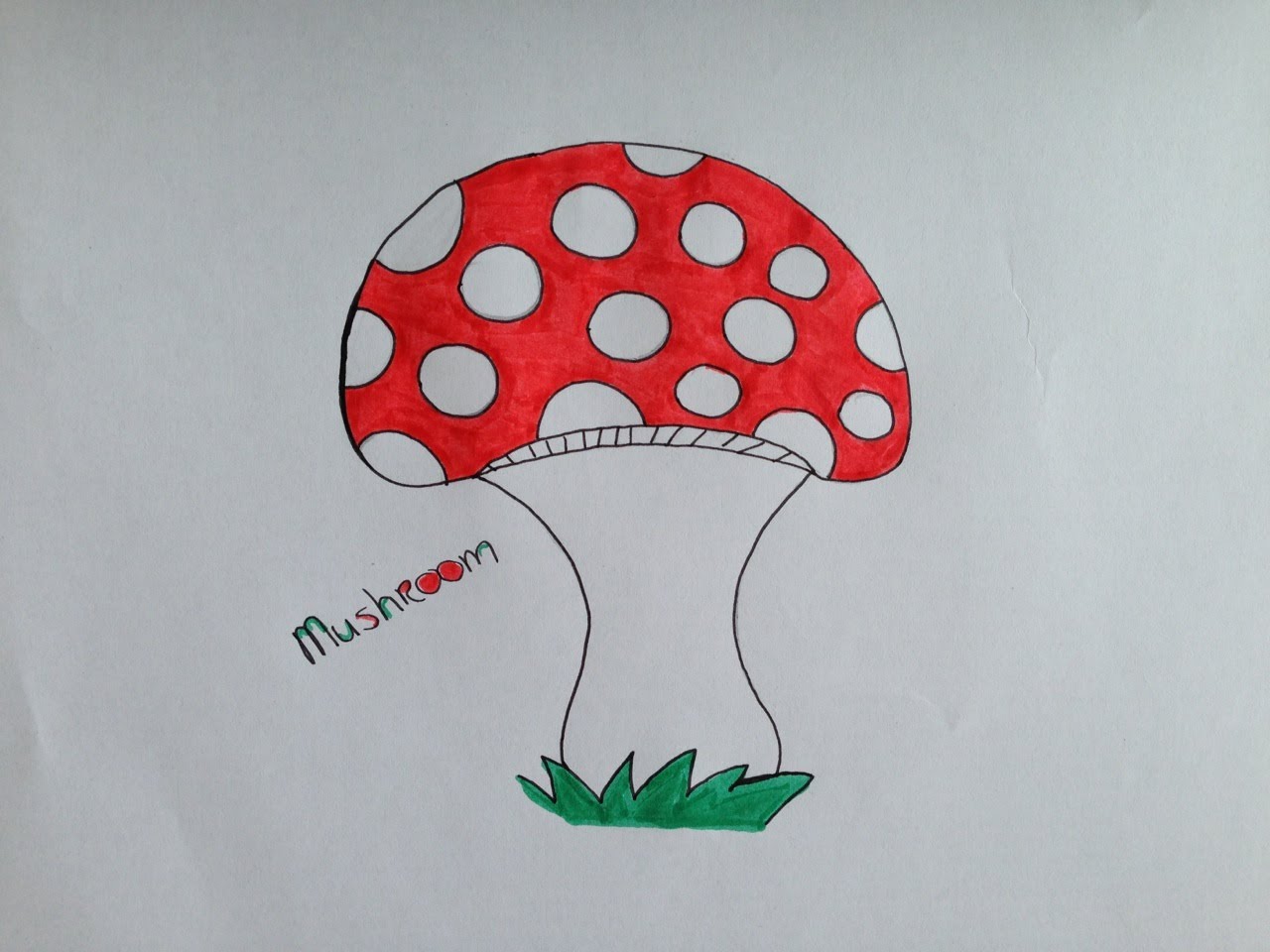 1280x960 How To Draw A Mushroom