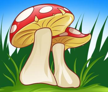 350x300 How To Draw How To Draw Mushrooms