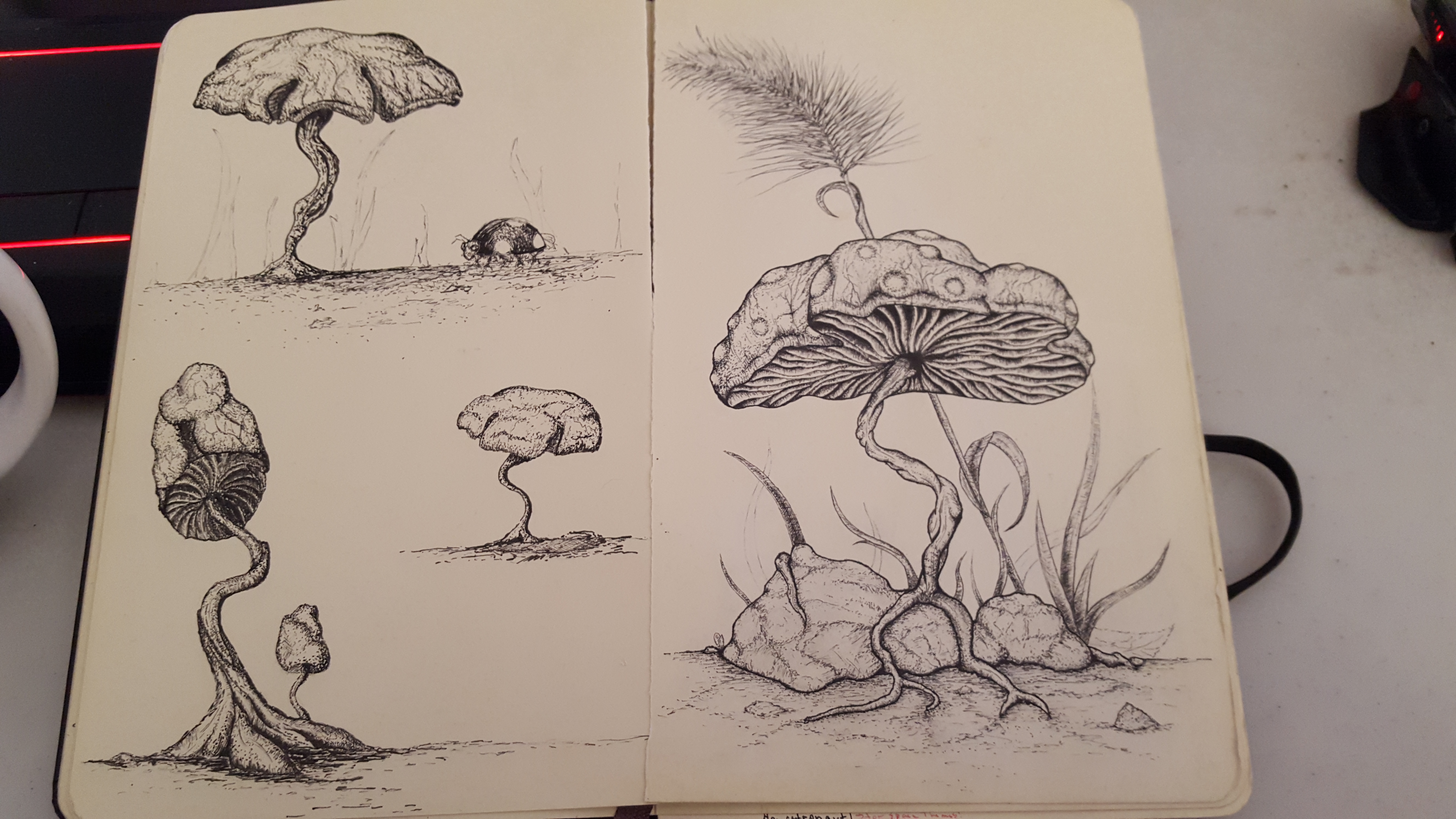 5312x2988 Art Mars, The Naturalists 1 Up Mushroom Art Chitecture