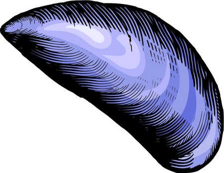 450x348 Stock Illustration