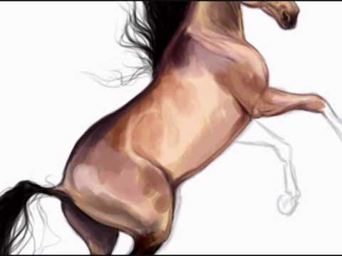 480x360 Speed Painting Mustang