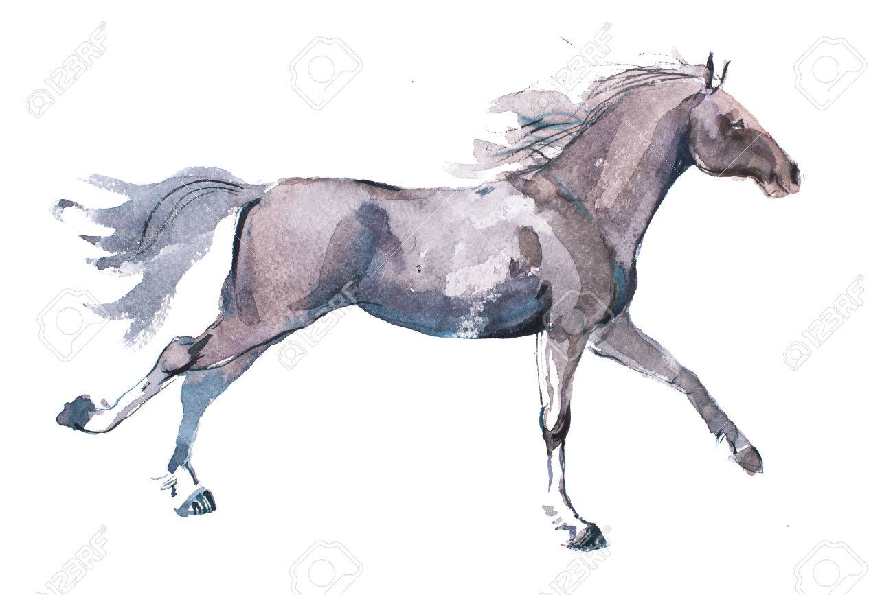 1300x867 Watercolor Drawing Of Jogging Horse, Young Mustang Doing Dogtrot