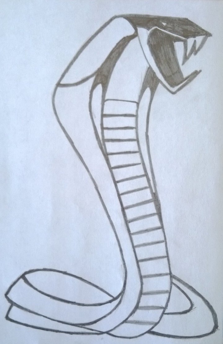 719x1111 Shelby Cobra Badge (Logo) By Jordandymock