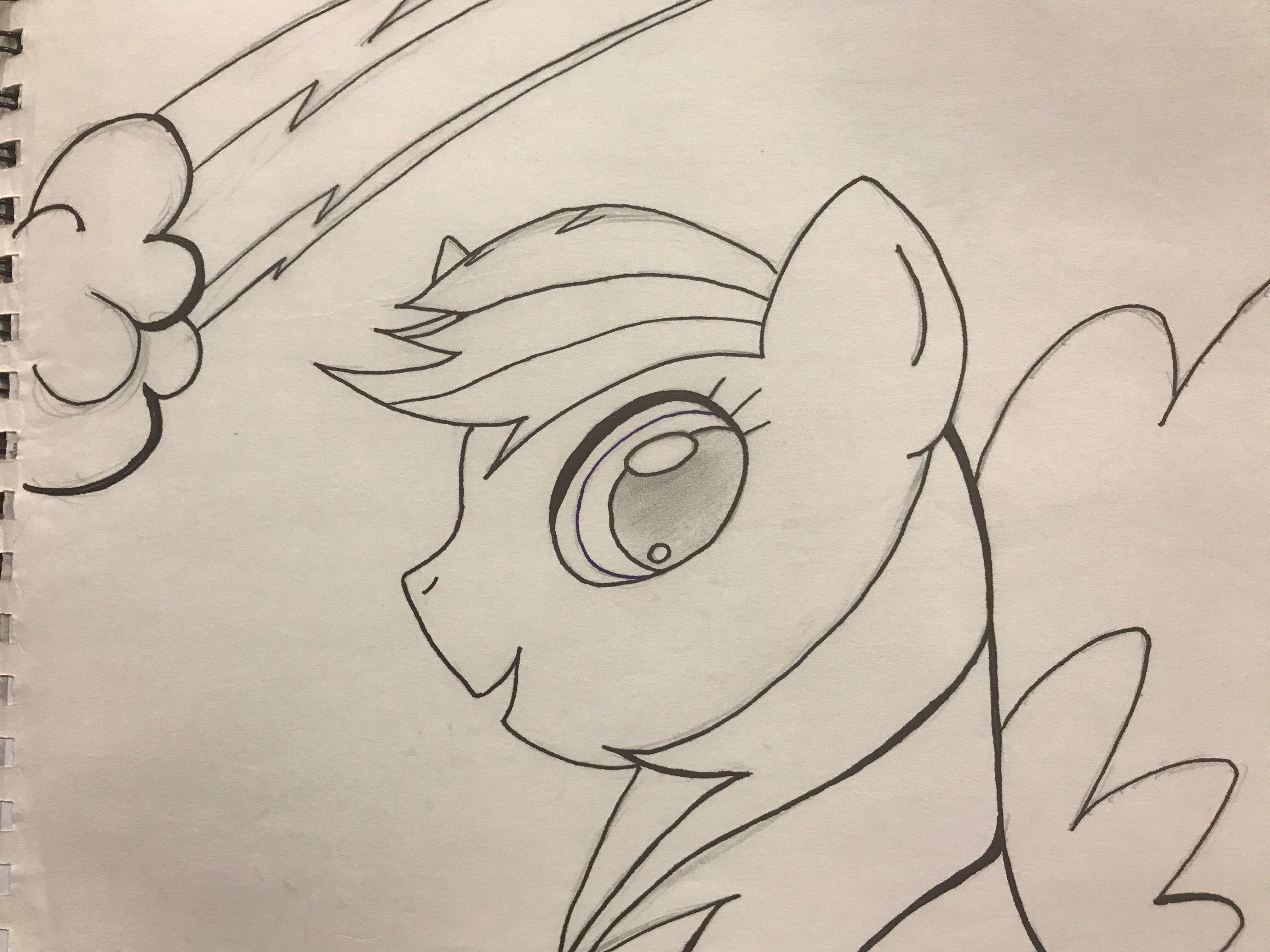 4032x3024 Rainbow Dash My Little Pony Image Found Off Of Internet. Pencil