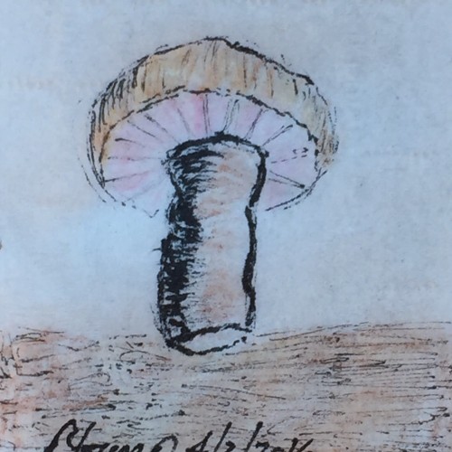 500x500 Napkin Draw Challenge