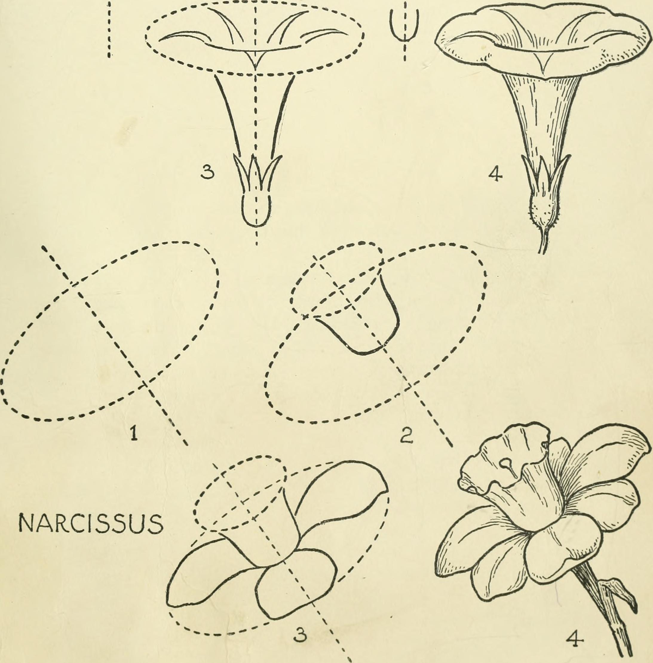 2186x2220 Filedrawing Made Easy