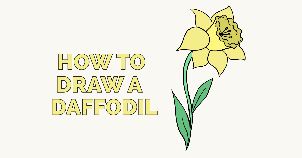 1200x628 How To Draw A Daffodil