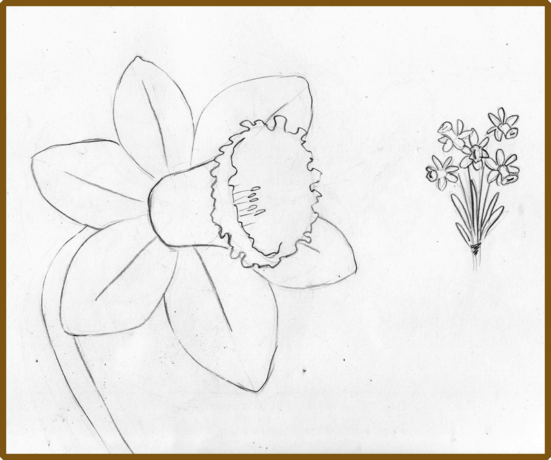 800x669 Weekly Doodles And Tuts How To Draw A Narcissusdaffodil