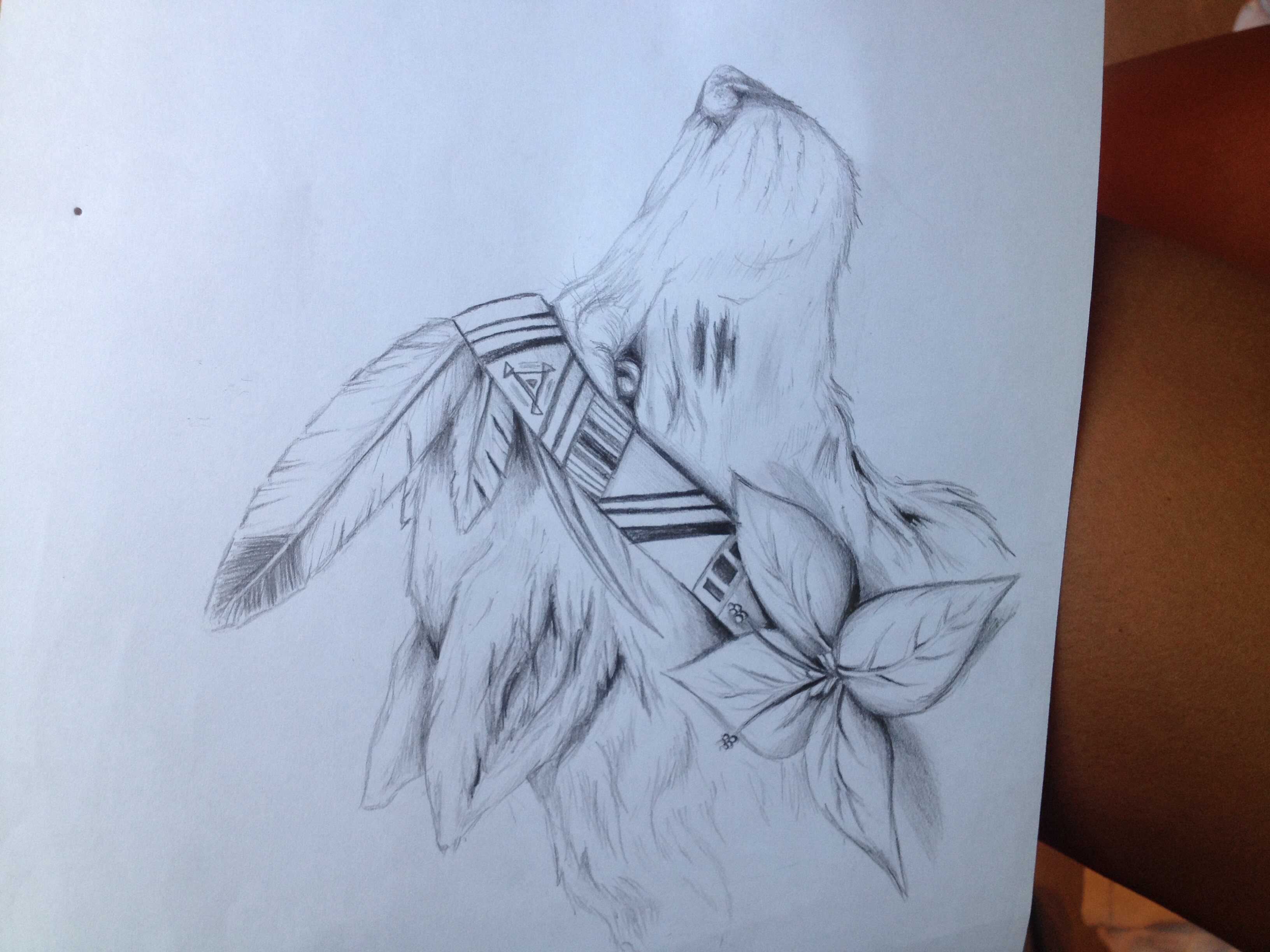 3264x2448 Indian Wolf Drawing Drawing Indian Wolf, Wolf