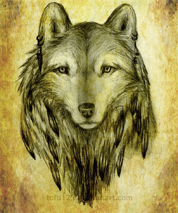 586x699 Native American Wolf By Tofu123