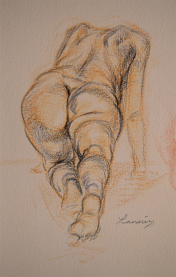 565x886 Some Neat Drawings Bulbawack