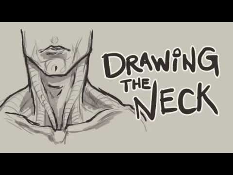 480x360 Helpful Tips For Drawing The Neck