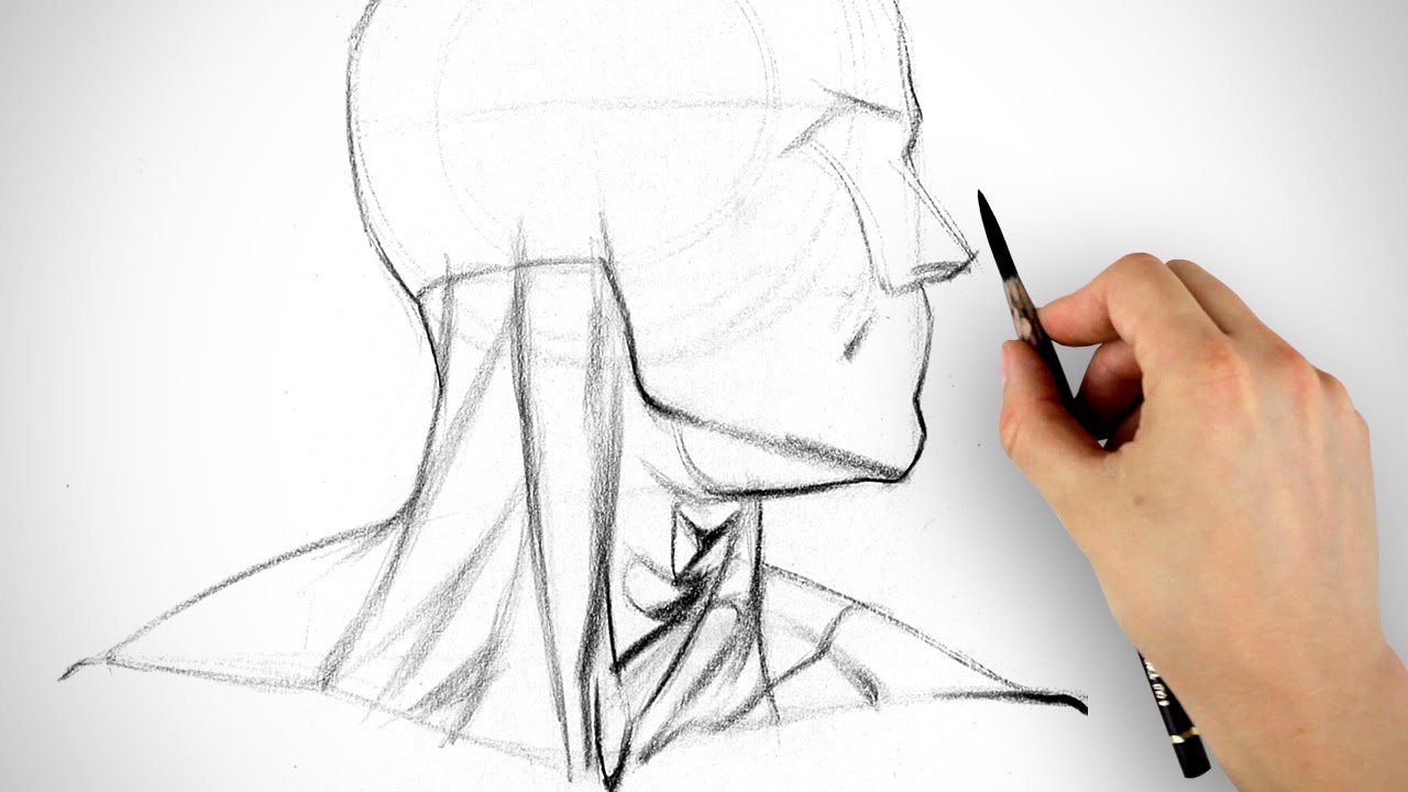 1280x720 Learn To Draw The Neck