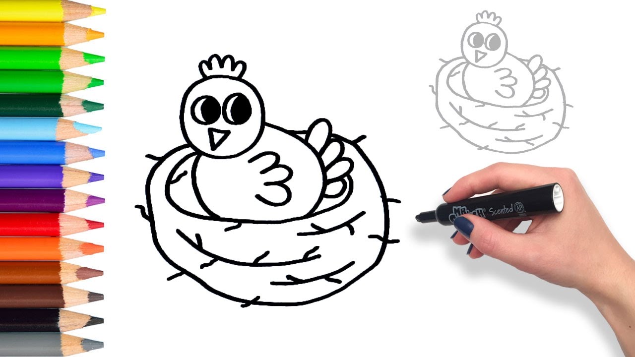 1280x720 How To Draw Baby Bird In Nest Teach Drawing For Kids Toddlers
