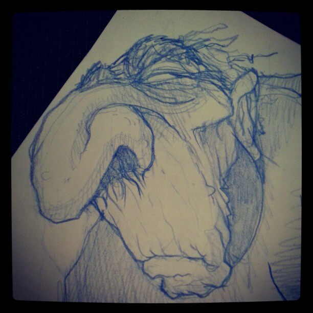 612x612 A New Drawing