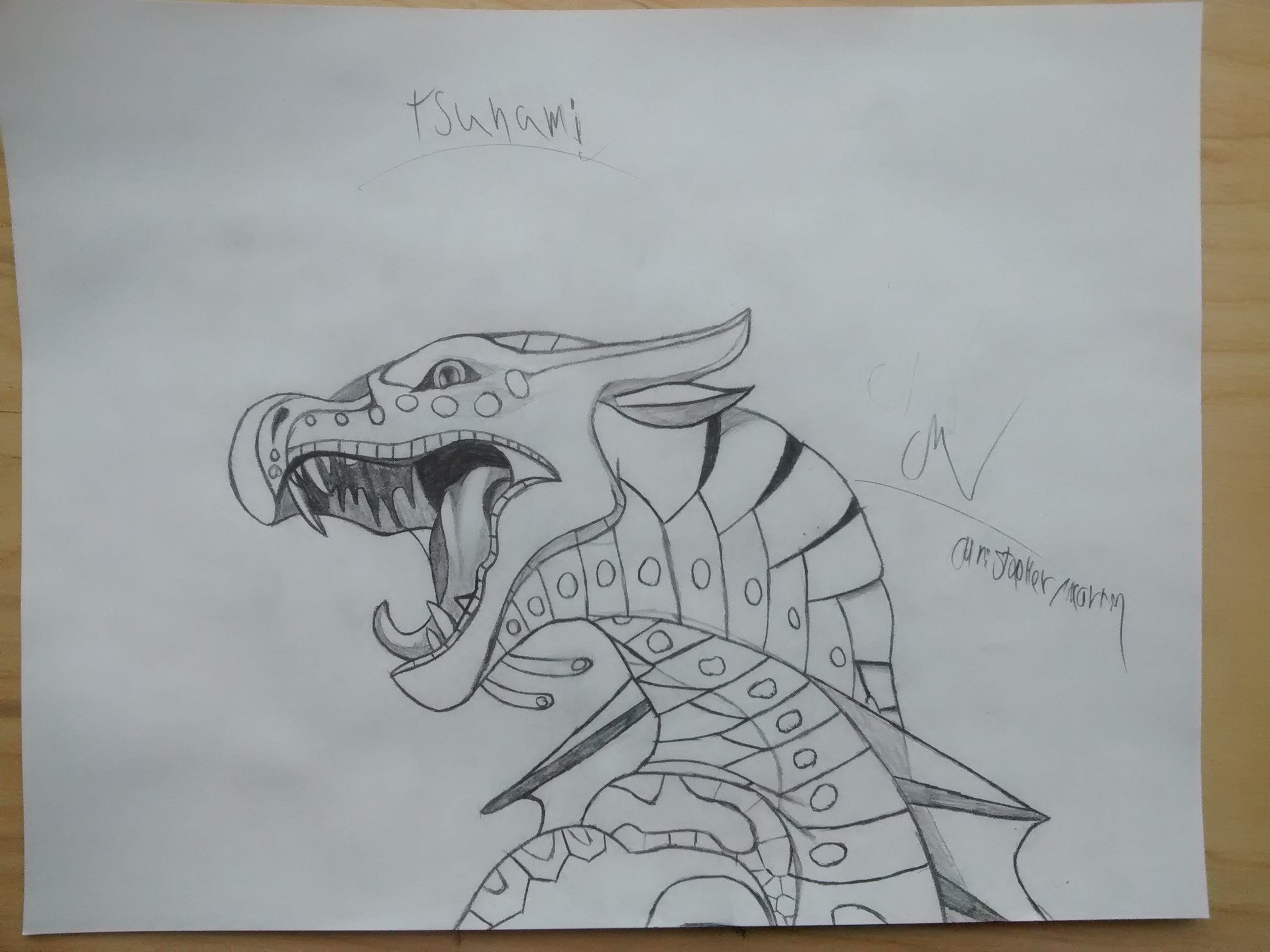 2592x1944 My New Drawing Of Tsunami The Seawings. Mon Nouveau Dessin De