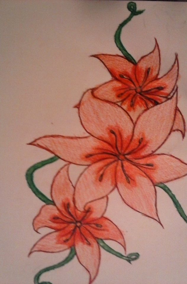 632x960 Pretty Flower Drawing Of Mine D By Celestieldelinquent