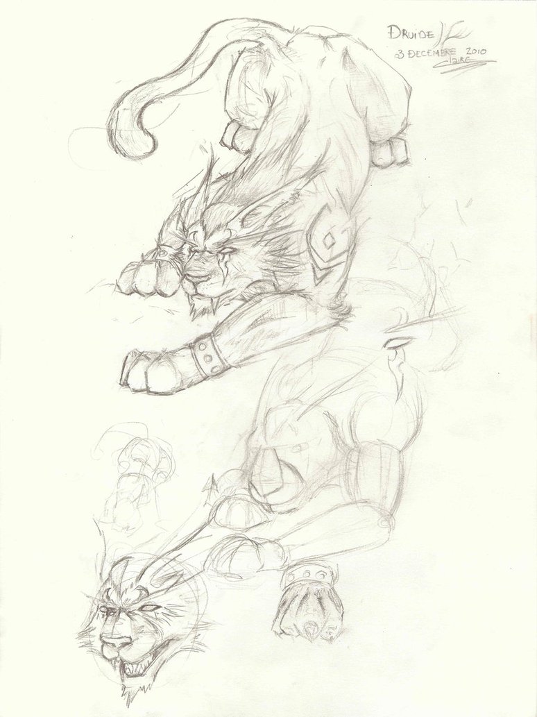 774x1033 Night Elf Druid Catform By Rikkuffx2mokanamine