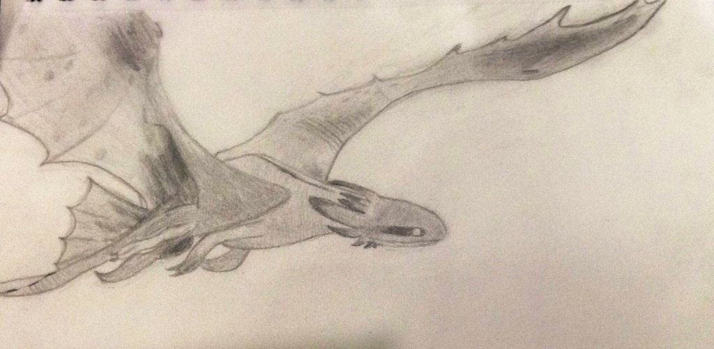 1024x501 Night Fury By Moonember