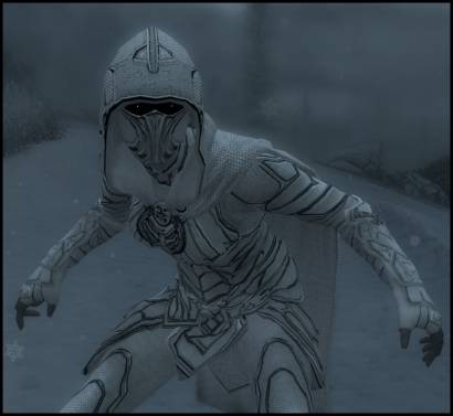 410x377 Snowy Nightingale Armor