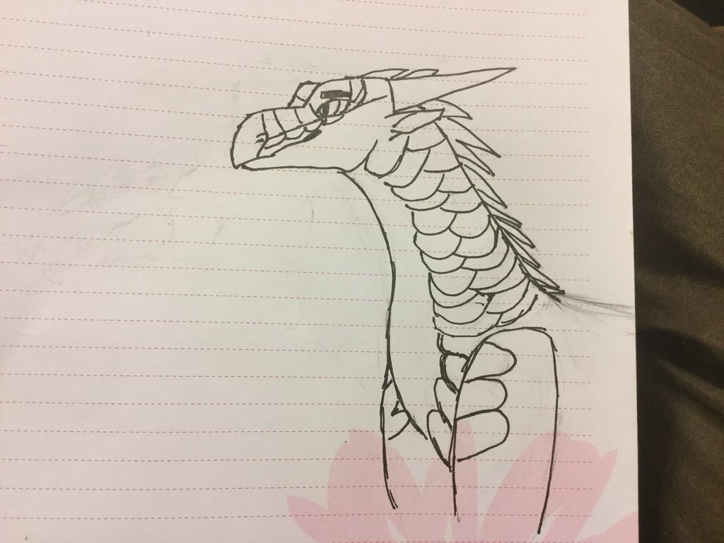 1024x768 Tiny Drawing Of A Nightwing By Celestiarch