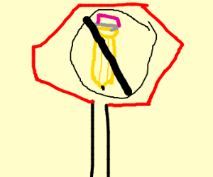 300x250 Please Excuse My Dear Aunt Sally.