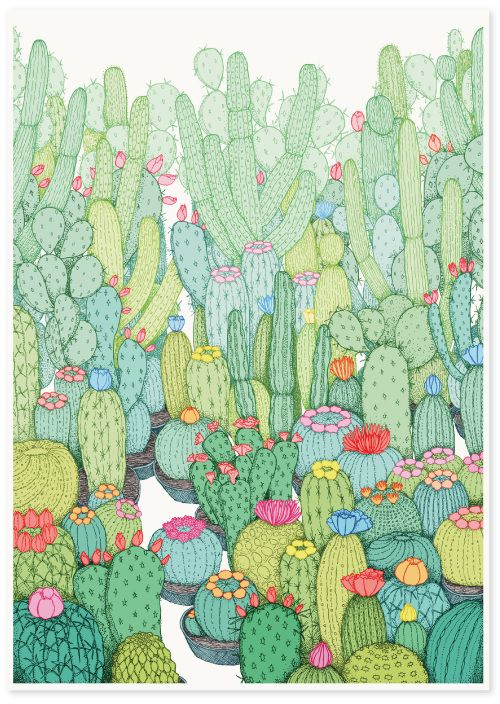 500x704 334 Best Captus.suculentas. Images On Succulents