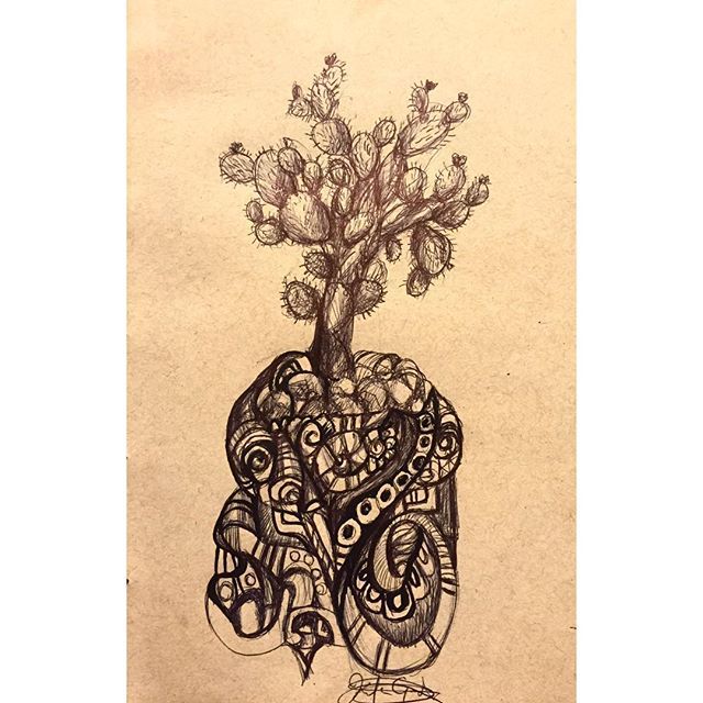 640x640 La Penca De Nopal