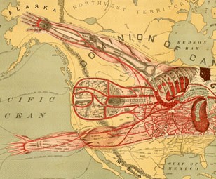 308x255 Man Of Commerce