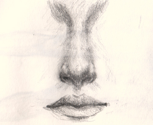 500x410 How To Draw A Nose