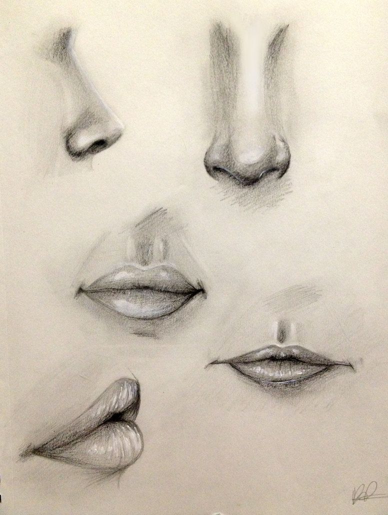 776x1030 Nose And Lip Practice By Kaspiian On Art Faces