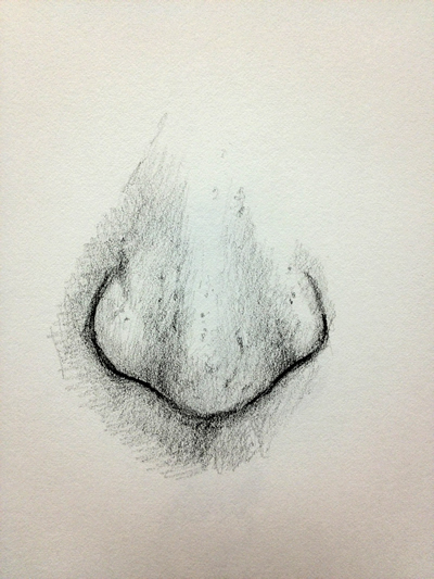 400x533 How To Draw A Nose