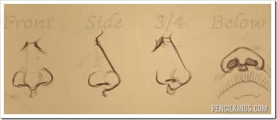 570x248 How To Draw A Nose For Beginners