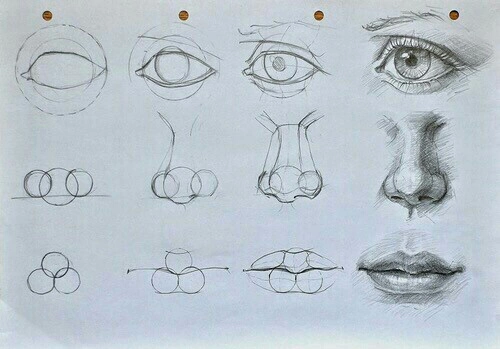 500x349 How To Draw Nose Tumblr
