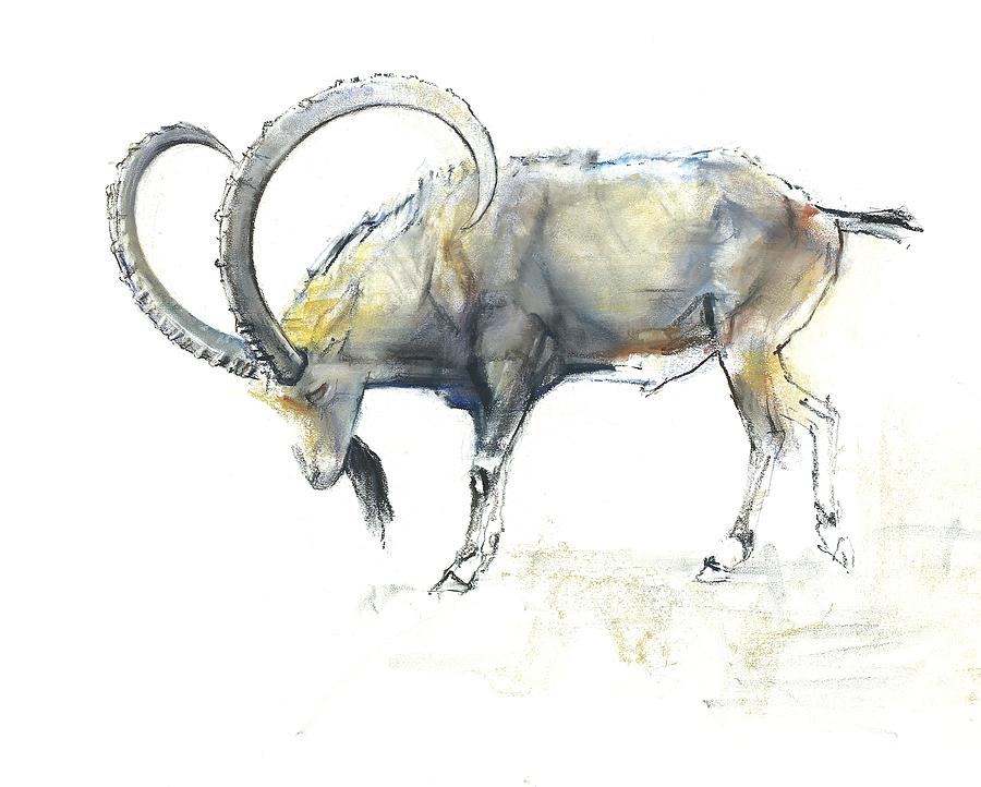 900x722 Nubian Ibex Painting By Mark Adlington