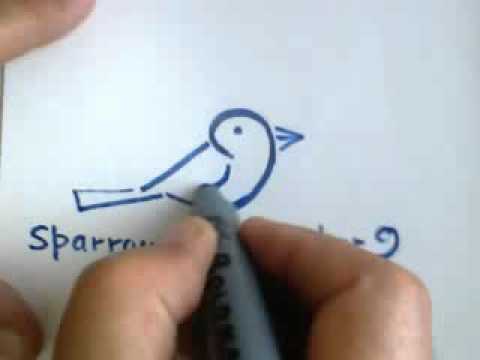 480x360 How To Draw A Sparrow With Number 9
