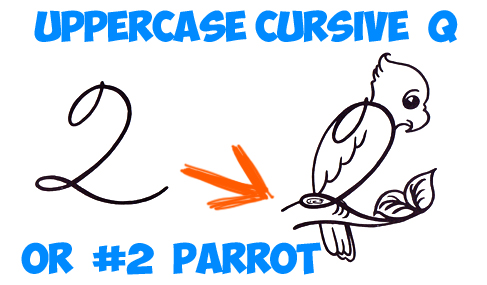 487x285 How To Draw A Parrot Archives