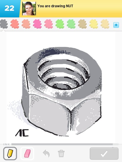 500x667 Nut Drawings