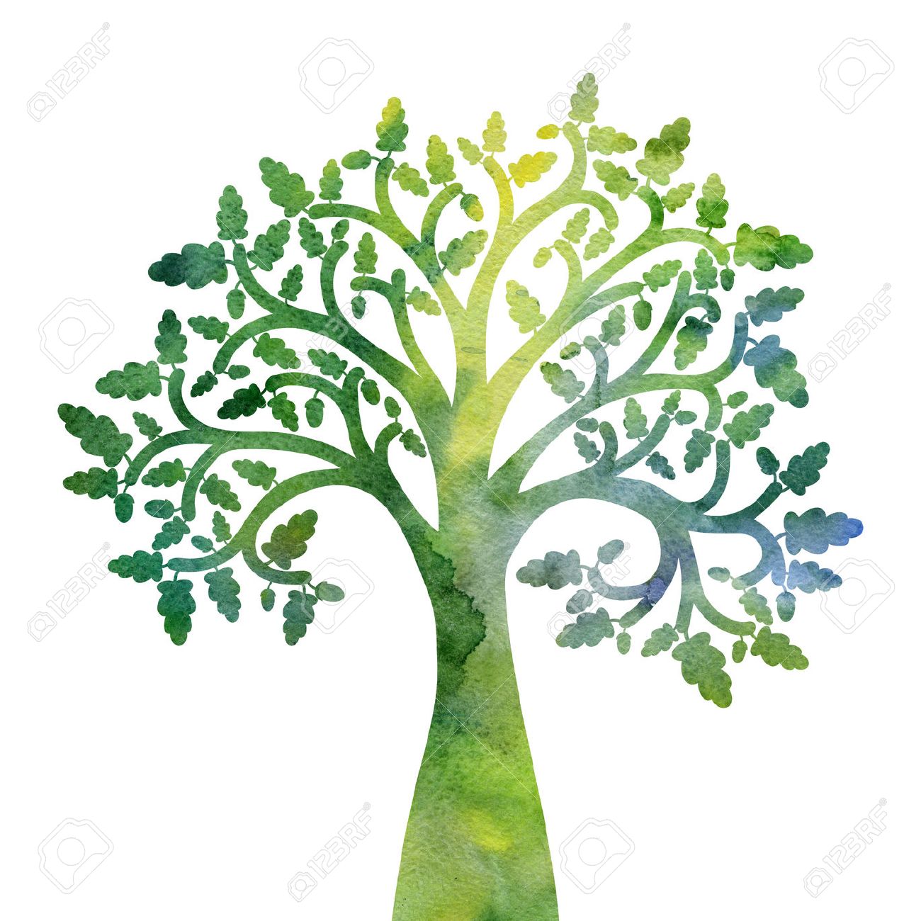 1300x1300 Silhouette Of Oak Tree With Leaves Drawing In Watercolor, Hand