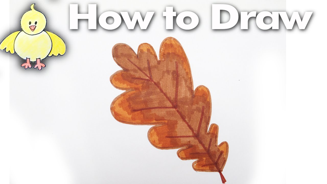 1280x720 How To Draw An Easy Oak Leaf Step By Step