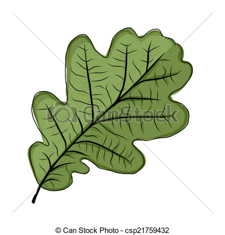 450x470 Oak Leaf Graphic Group