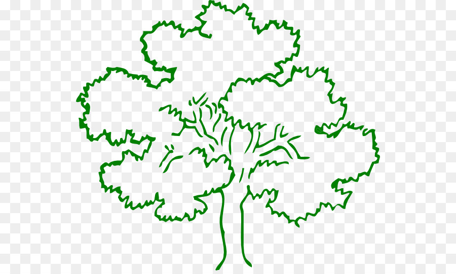 900x540 Tree Black And White Oak Drawing Clip Art