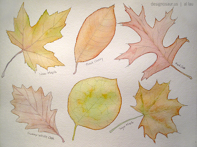 640x480 Leaves Blog.designosaur.us